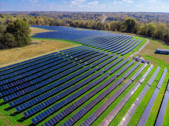 Solar farm off Exit 8 in Clarksville on Oct. 31, 2025. (Wesley Irvin)