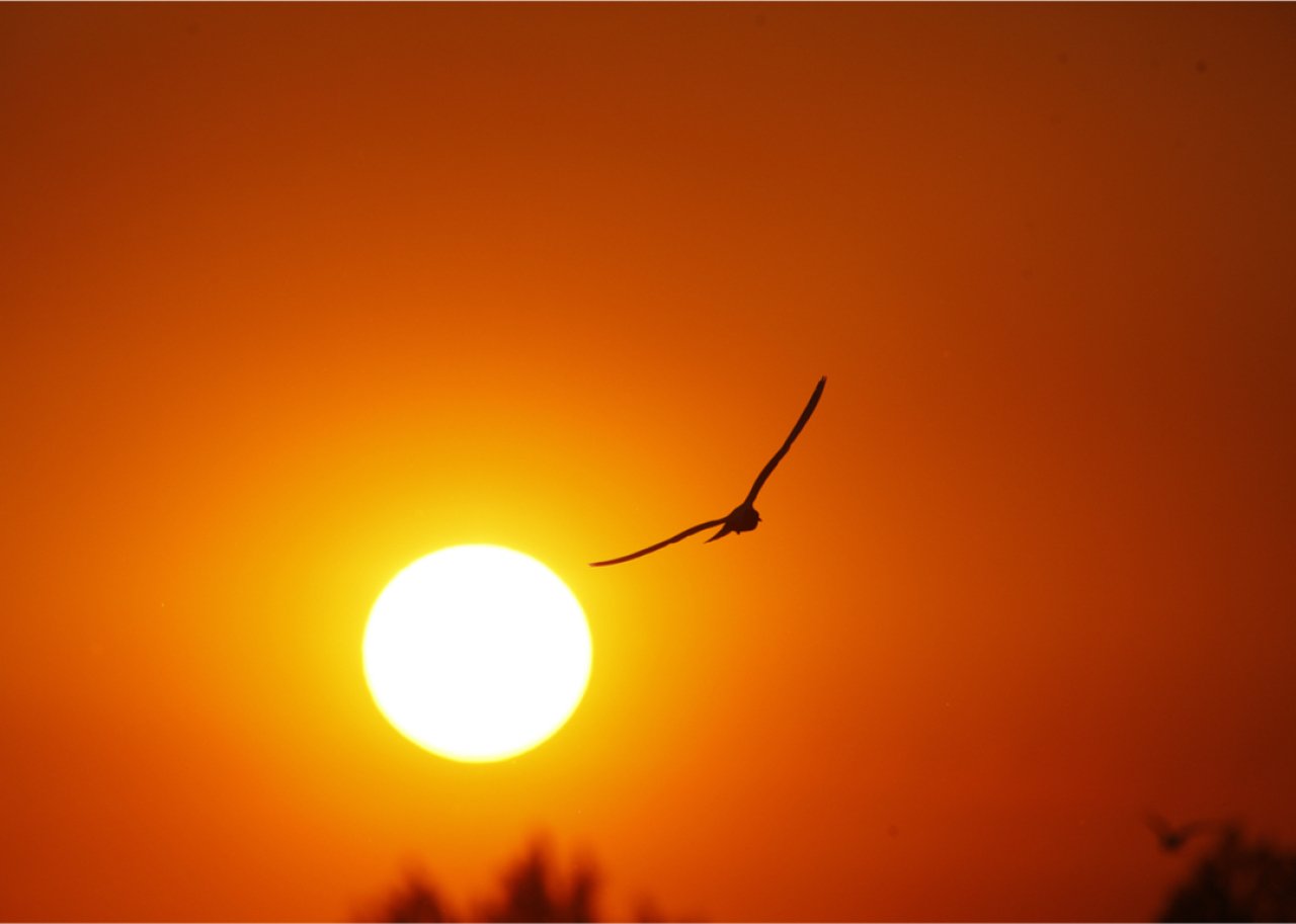 Hottest Decembers in Tennessee since 1895