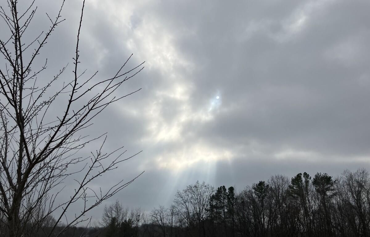 Cloudy skies during winter, on Dec. 5, 2025. (Chris Smith)