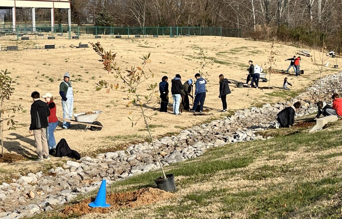 Replant Clarksville volunteers plant 50 trees at Civitan Park on Dec. 13, 2025. (Contributed)