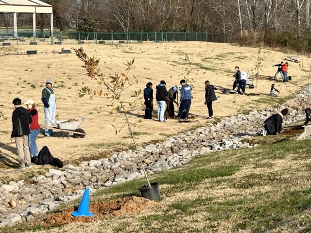 Replant Clarksville volunteers plant 50 trees at Civitan Park on Dec. 13, 2025. (Contributed)