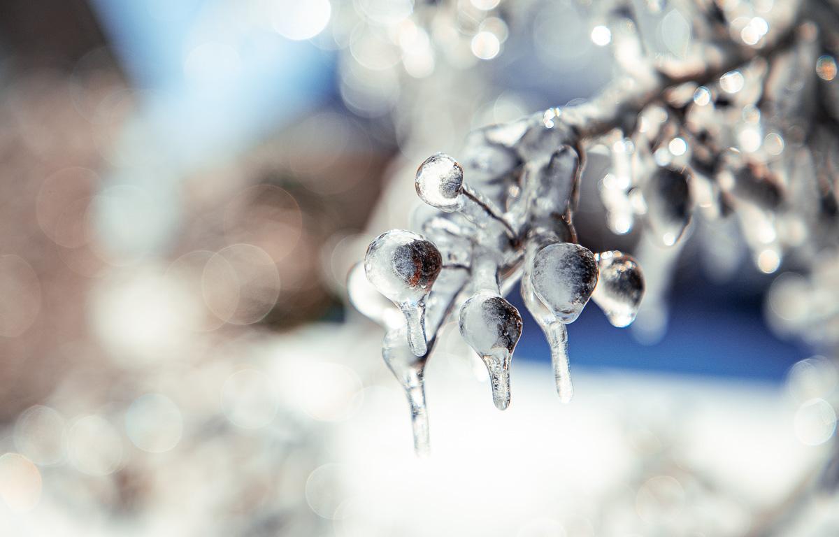 Winter Ice storm on January 26, 2026. (Wesley Irvin)