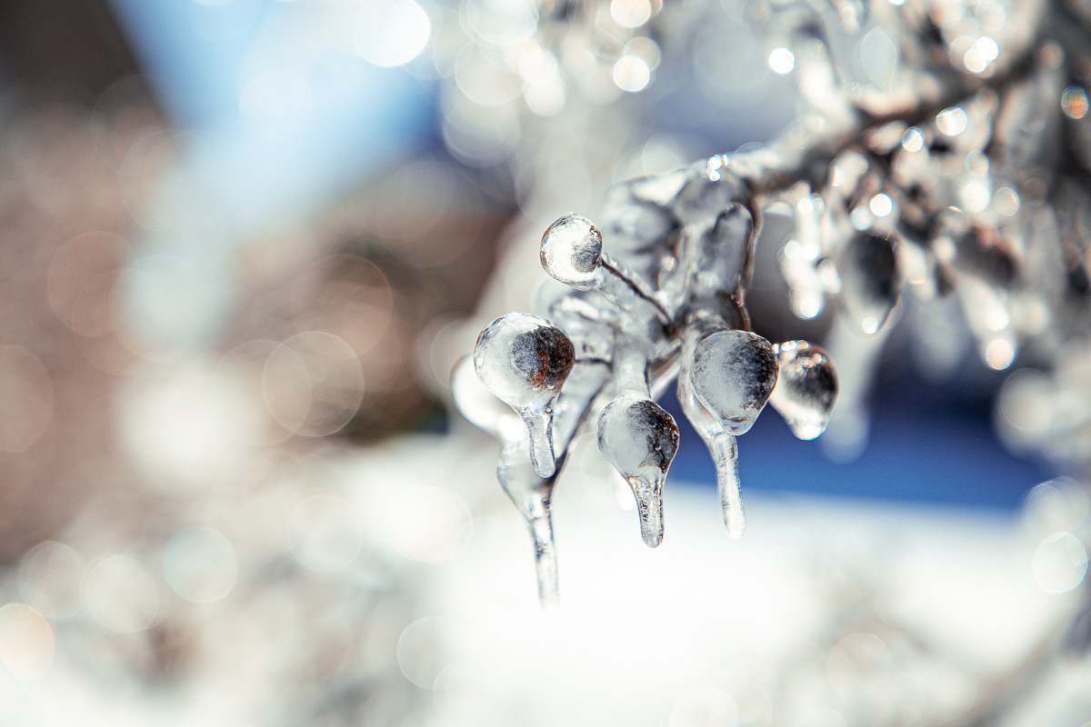 Winter Ice storm on January 26, 2026. (Wesley Irvin)