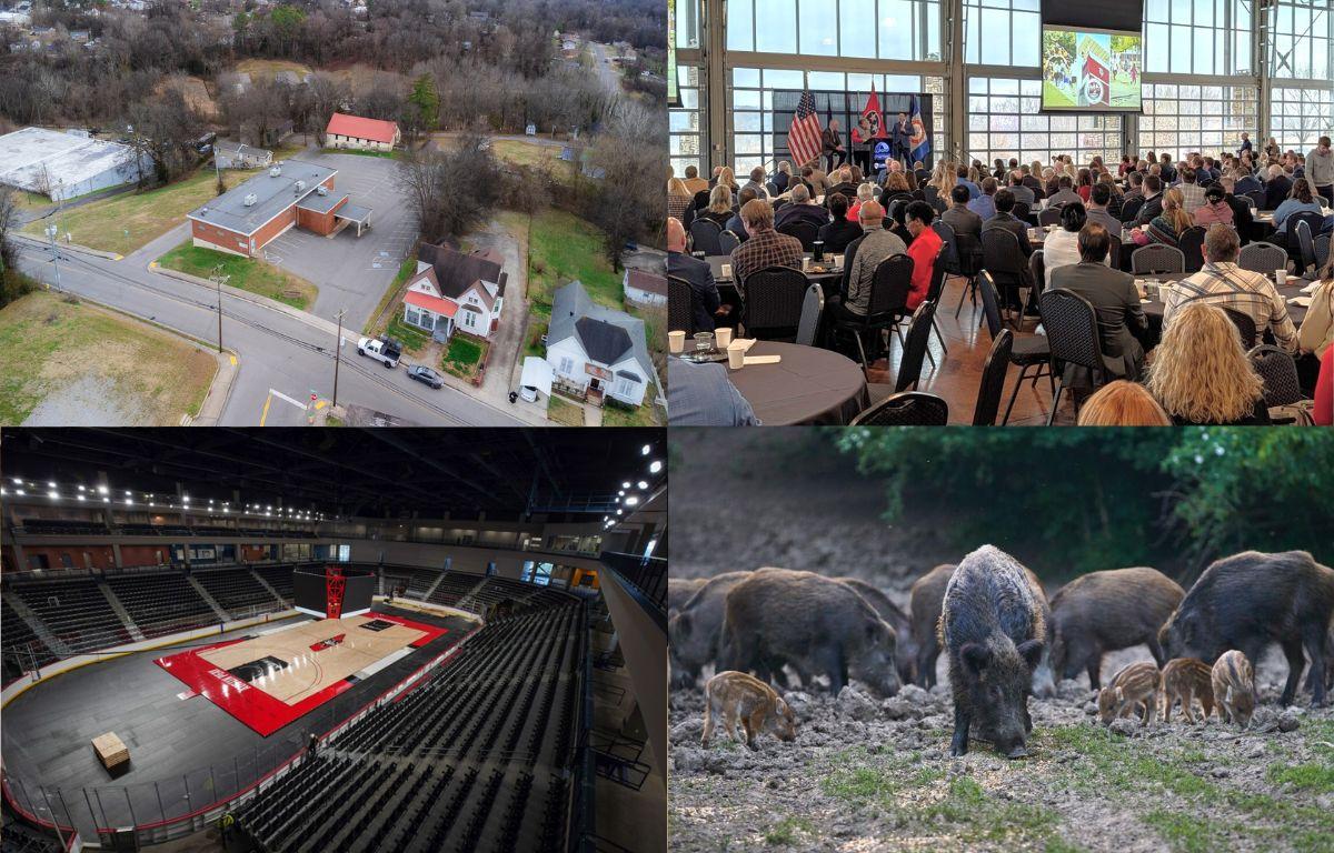 Clockwise from the top left, The Well, Mayor's Power Breakfast, feral hogs and F&M Bank Arena.