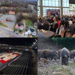 Clockwise from the top left, The Well, Mayor's Power Breakfast, feral hogs and F&M Bank Arena.