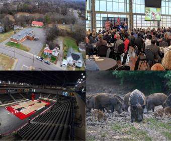 Clockwise from the top left, The Well, Mayor's Power Breakfast, feral hogs and F&M Bank Arena.