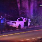 A car crashed into a tree on Rossview Road on Jan. 1, 2026. (Enrique Hernandez, Dash 10 Media)