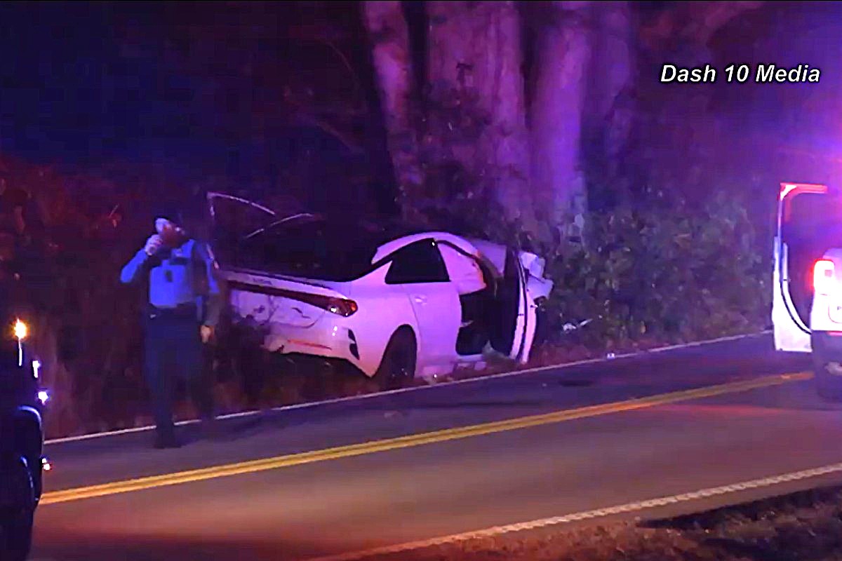 A car crashed into a tree on Rossview Road on Jan. 1, 2026. (Enrique Hernandez, Dash 10 Media)