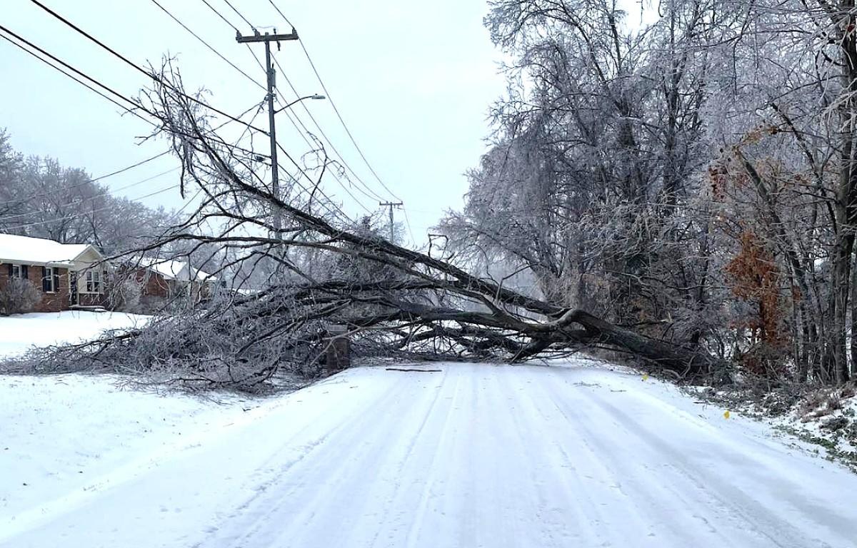 A tree down on Basham Lane during the ice storm in Clarksville on Jan. 25, 2026. (City of Clarksville, contributed)