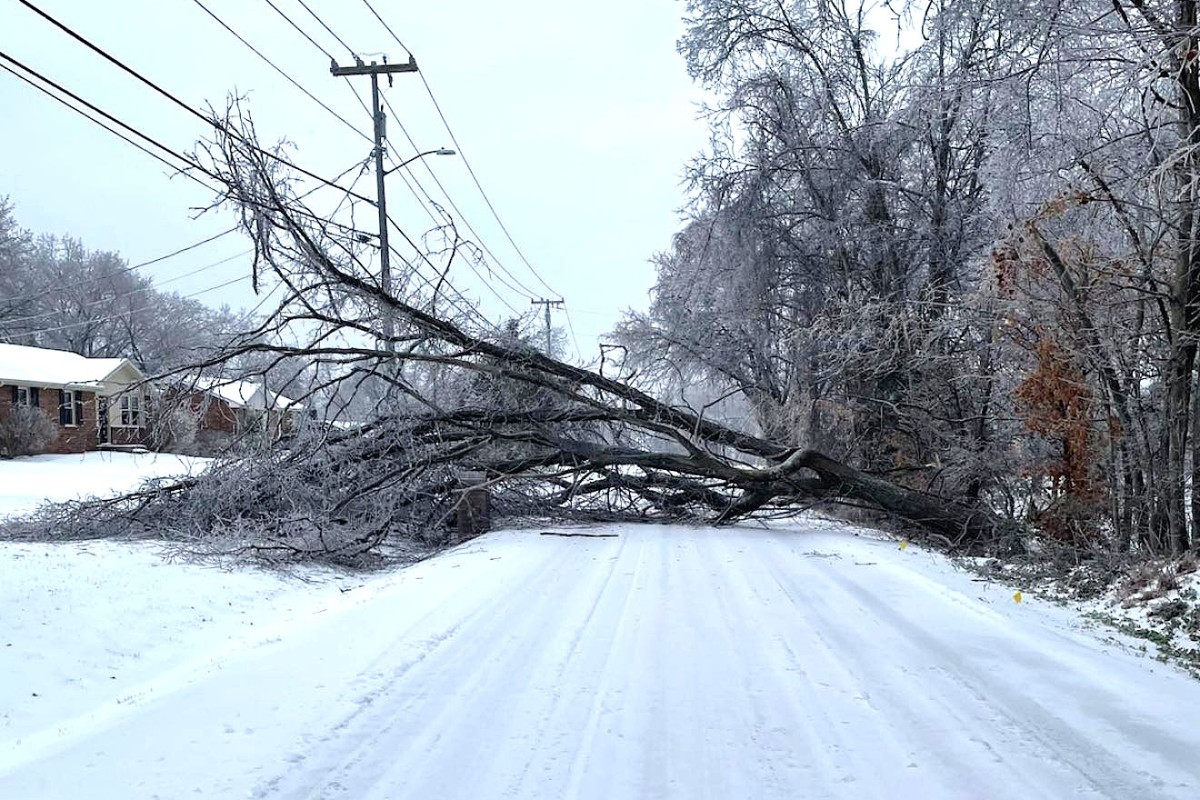 A tree down on Basham Lane during the ice storm in Clarksville on Jan. 25, 2026. (City of Clarksville, contributed)