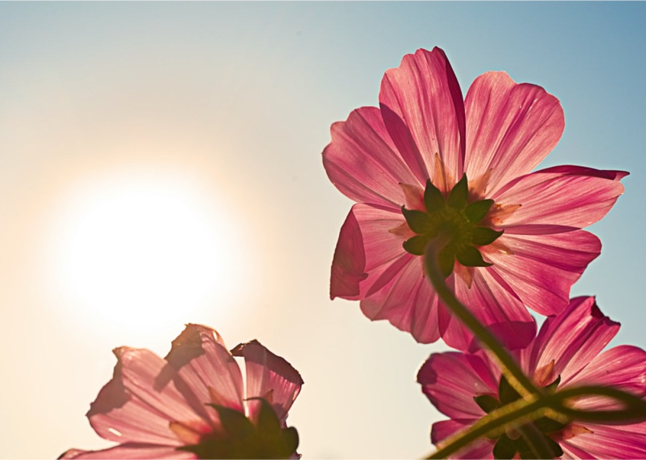 Hottest Marches in Tennessee since 1895