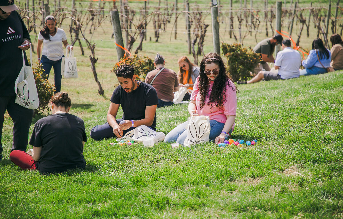 Annual Adult Egg Hunt at Beachaven Vineyards & Winery on March 29, 2026. (Wesley Irvin)