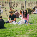 Annual Adult Egg Hunt at Beachaven Vineyards & Winery on March 29, 2026. (Wesley Irvin)