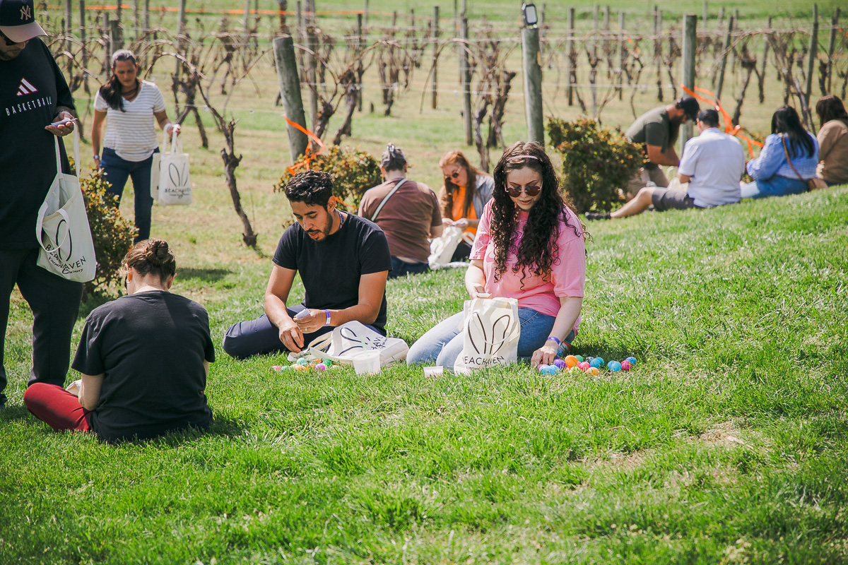 Annual Adult Egg Hunt at Beachaven Vineyards & Winery on March 29, 2026. (Wesley Irvin)