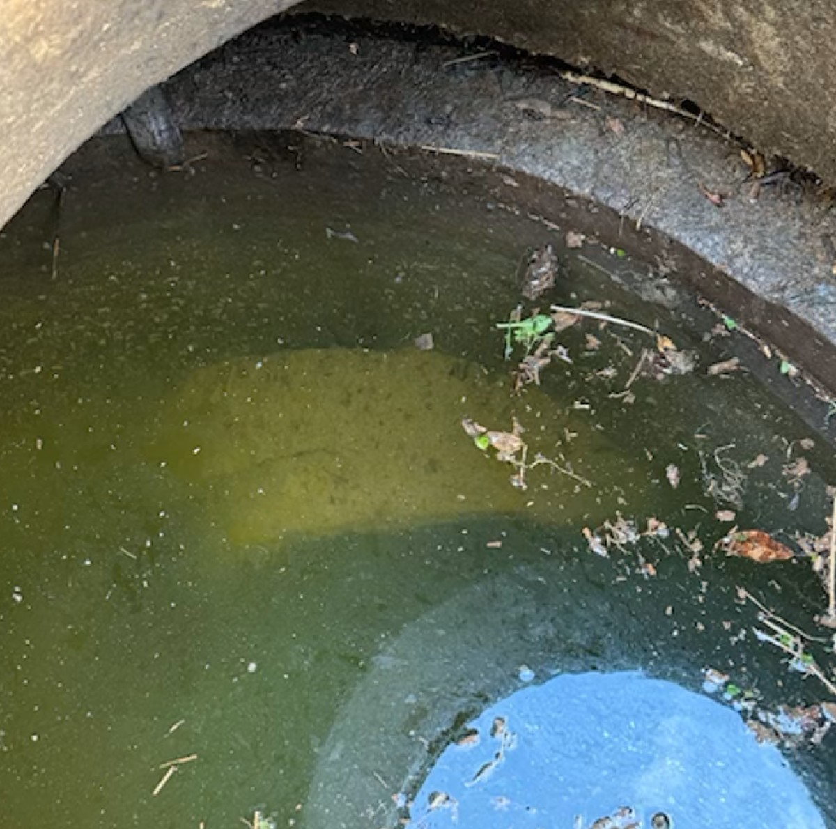 The manhole on the other side of the railroad tracks with the clogged pipe. (Contributed, Larry Rocconi)