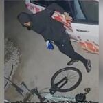 Alleged suspect involved in a vehicle burglary and theft that occurred during the early hours of March 7 on Hickory Glen Drive. (Contributed, CPD)