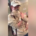Sabrina Knear with Frankie the rat terrier chihuahua mix. (Sabrina Knear, Contributed)