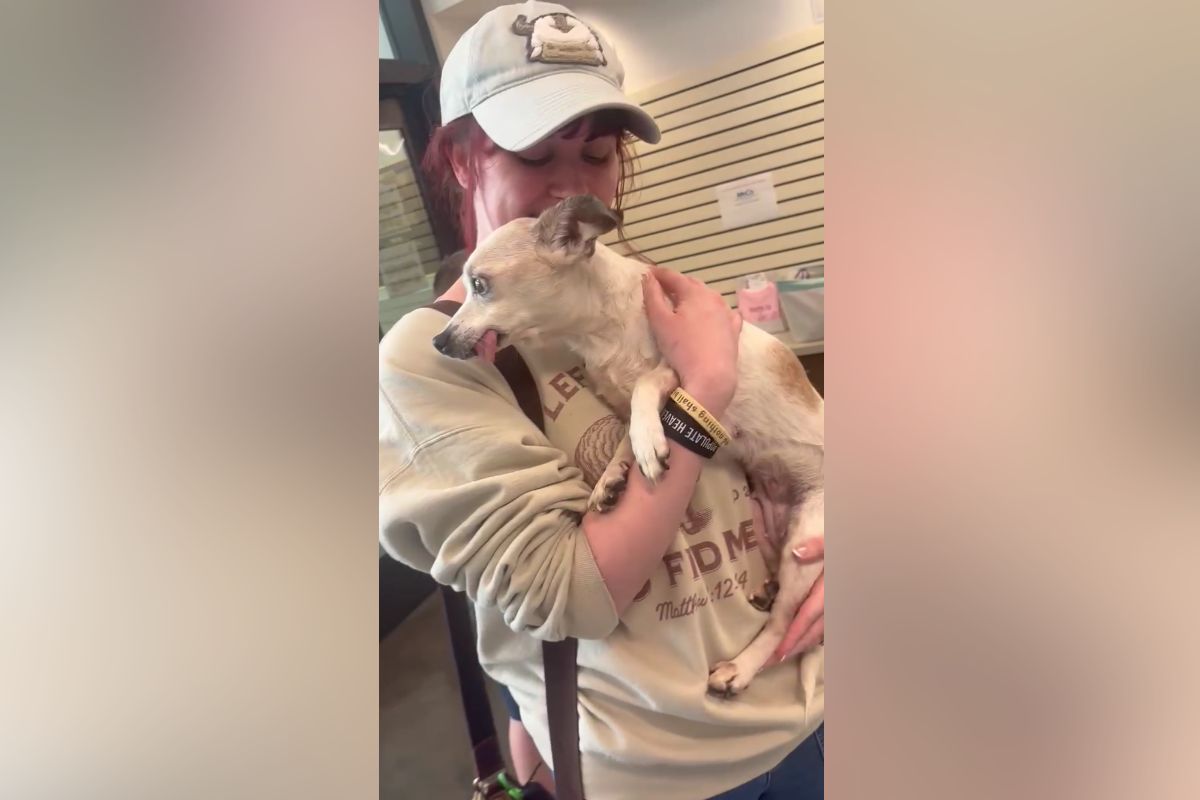 Sabrina Knear with Frankie the rat terrier chihuahua mix. (Sabrina Knear, Contributed)