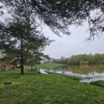 Water creeping toward the back of 276 Cheshire Rd. Photo from April 2025. (Contributed by Jim Knoll)