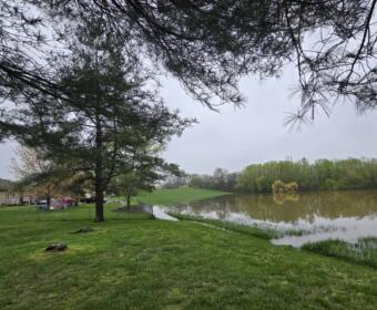 Water creeping toward the back of 276 Cheshire Rd. Photo from April 2025. (Contributed by Jim Knoll)