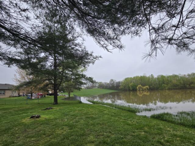 Water creeping toward the back of 276 Cheshire Rd. Photo from April 2025. (Contributed by Jim Knoll)