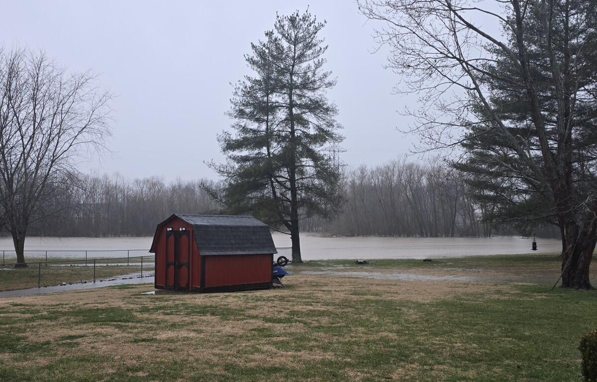 Backyard of Jim Knoll on Cheshire Road in February 2025. (Contributed by Jim Knoll)