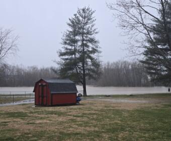 Backyard of Jim Knoll on Cheshire Road in February 2025. (Contributed by Jim Knoll)
