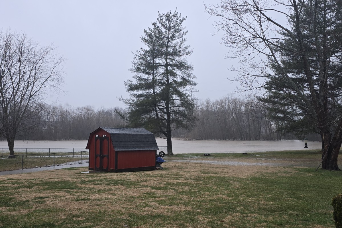 Backyard of Jim Knoll on Cheshire Road in February 2025. (Contributed by Jim Knoll)