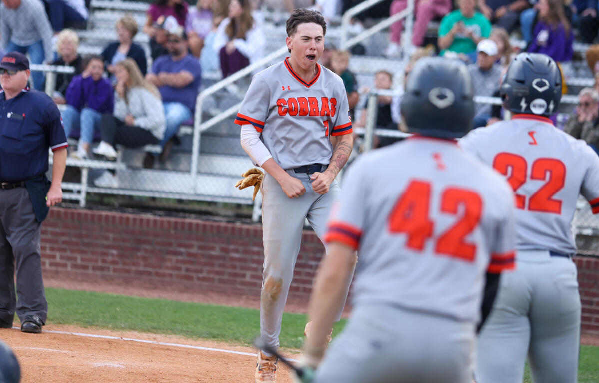 Baseball player in a Cobra gray uniform celebrates on the dirt field with clenched fists while teammates approach and fans watch from the stands.