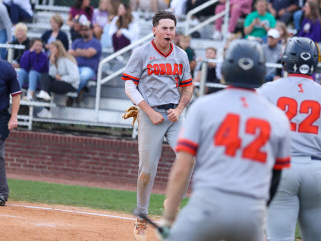 Baseball player in a Cobra gray uniform celebrates on the dirt field with clenched fists while teammates approach and fans watch from the stands.