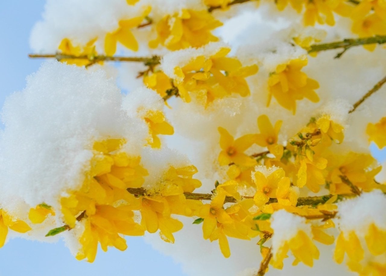 Coldest Aprils in Tennessee since 1895