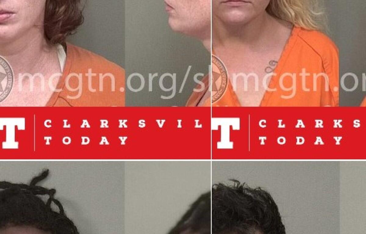 Clarksville Today Instagram mugshot gallery. (Contributed)