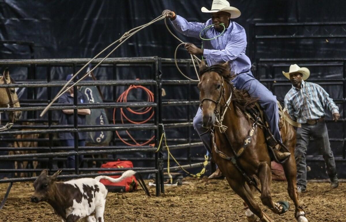 Cowboy on a brown horse swinging a lasso at a calf inside a rodeo arena, with two men watching behind the gate.