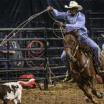Cowboy on a brown horse swinging a lasso at a calf inside a rodeo arena, with two men watching behind the gate.