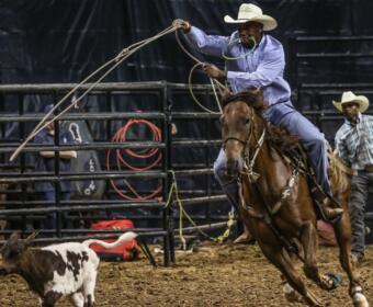 Cowboy on a brown horse swinging a lasso at a calf inside a rodeo arena, with two men watching behind the gate.