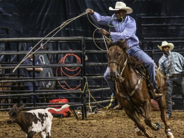Cowboy on a brown horse swinging a lasso at a calf inside a rodeo arena, with two men watching behind the gate.