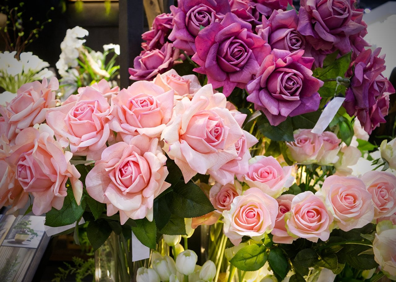 Vibrant display of pink and purple rose bouquets in a florist shop window.
