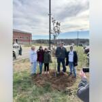 Six people stand around a newly planted sapling in a vacant lot, posing for a photo as someone records with a phone.