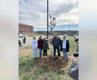Six people stand around a newly planted sapling in a vacant lot, posing for a photo as someone records with a phone.