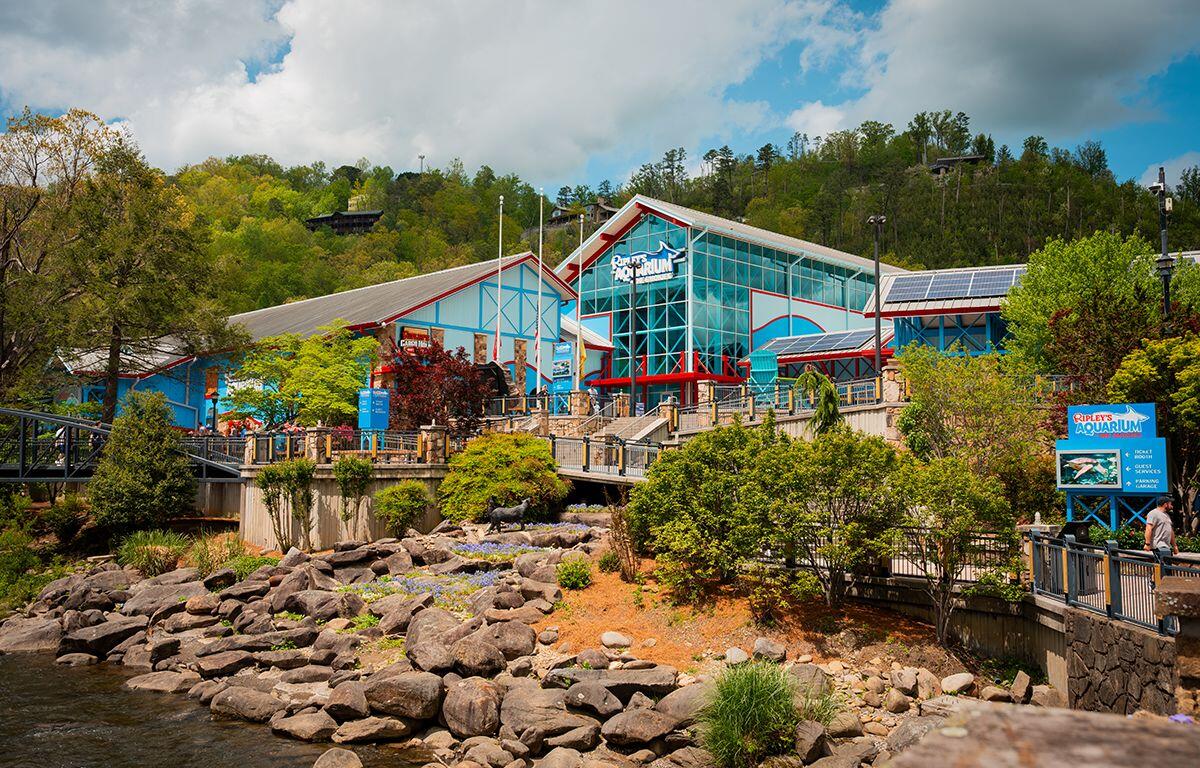 Ripley's Aquarium of the Smokies (Contributed)