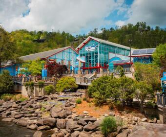 Ripley's Aquarium of the Smokies (Contributed)
