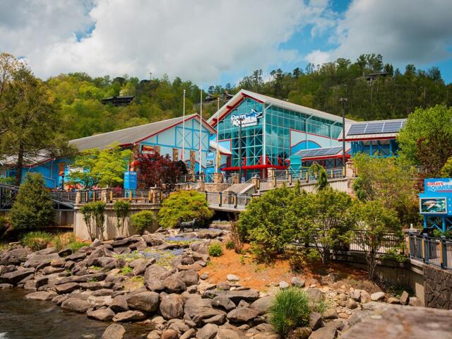 Ripley's Aquarium of the Smokies (Contributed)
