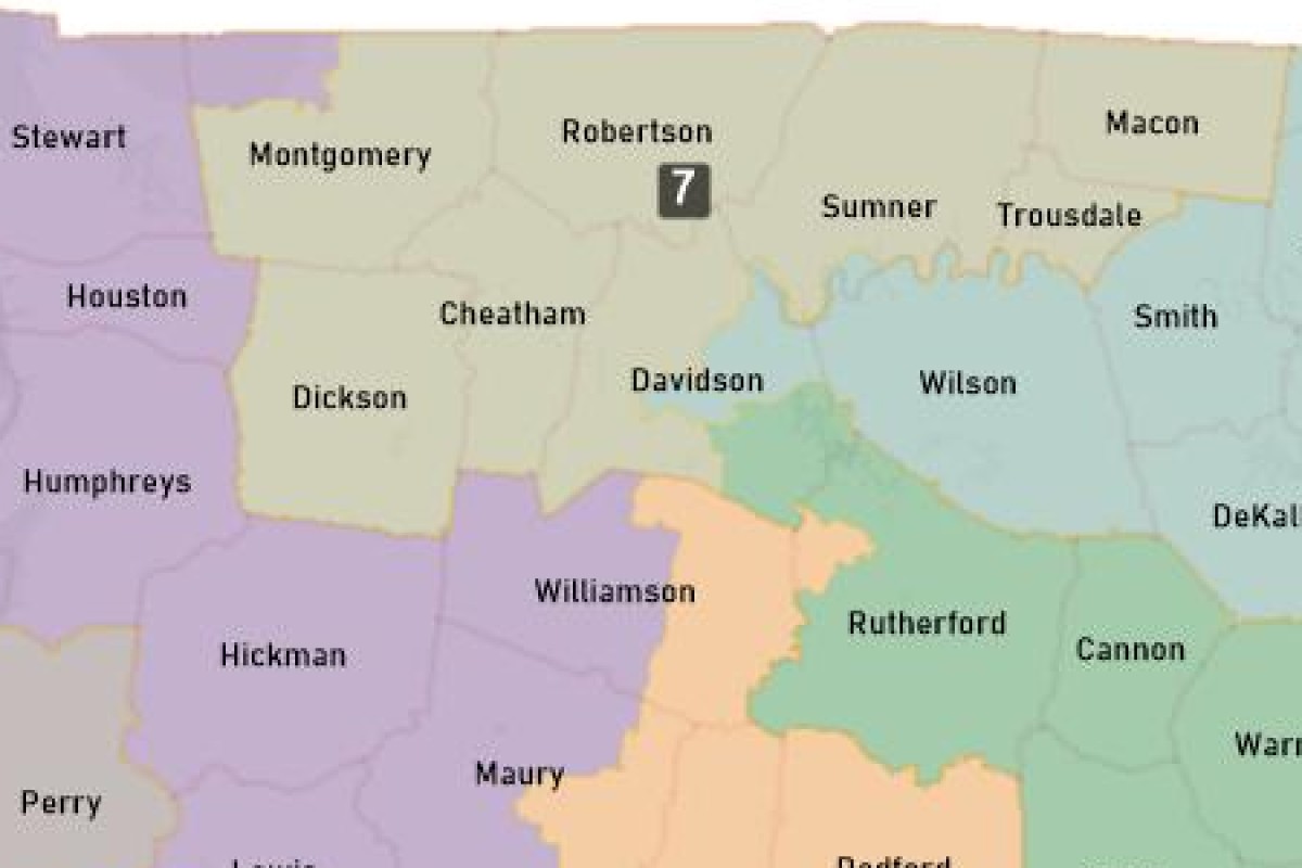 The new Congress Tennessee District 7 map proposed this week in the General Assembly. (Contributed)