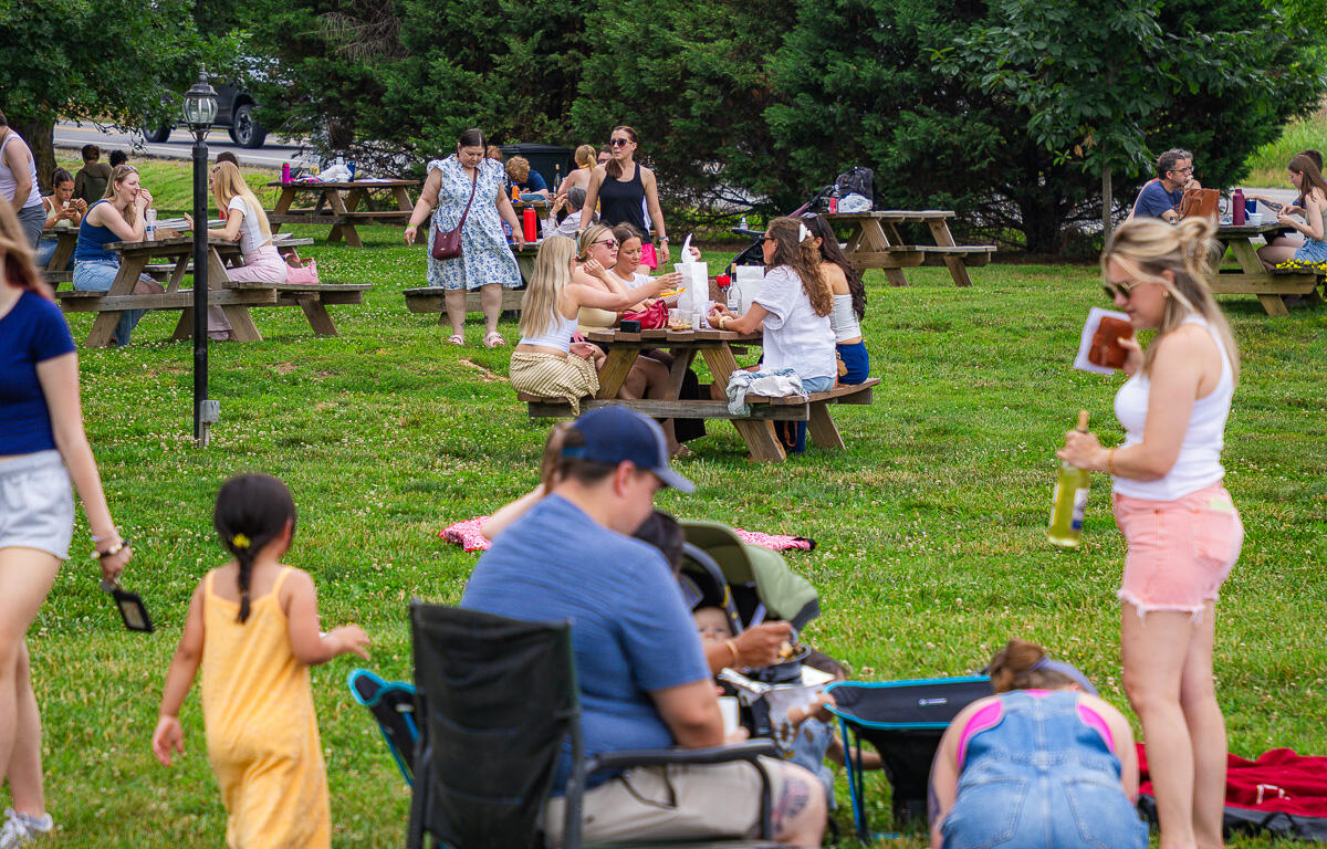 People picnicking in a park at wooden tables, kids playing on the grass, and a woman pouring a drink outdoors on a sunny day.
