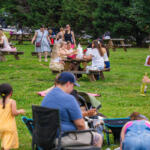 People picnicking in a park at wooden tables, kids playing on the grass, and a woman pouring a drink outdoors on a sunny day.