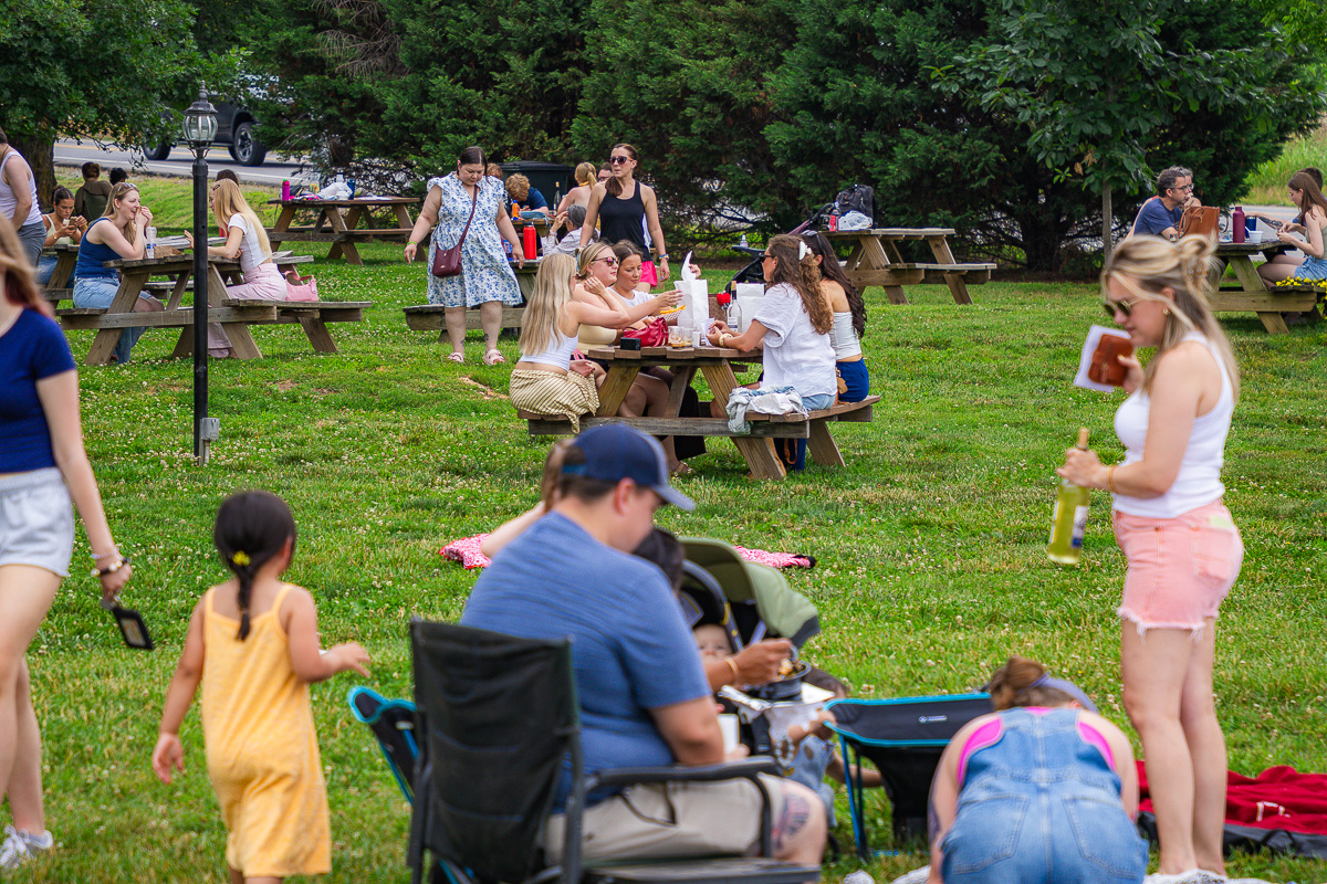 People picnicking in a park at wooden tables, kids playing on the grass, and a woman pouring a drink outdoors on a sunny day.