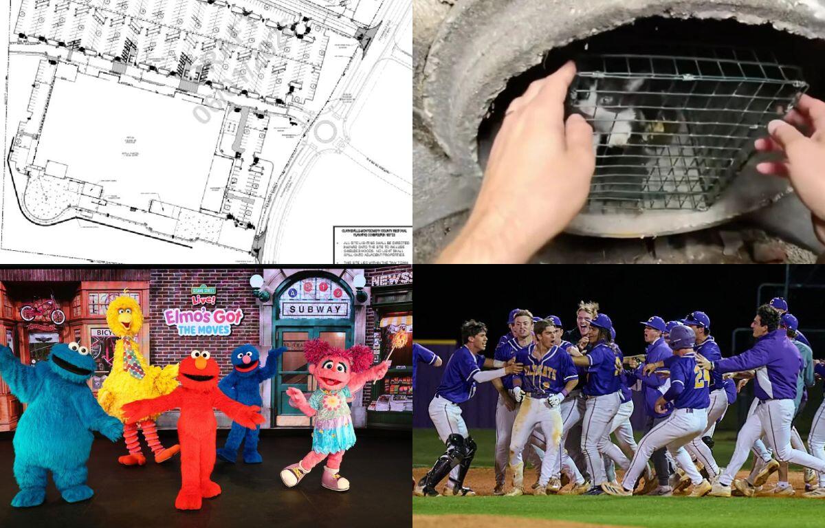 Clockwise from top left, Autumnwood Farms retail, trapped kitten, All-Area Team, Sesame Street Live.