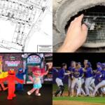 Clockwise from top left, Autumnwood Farms retail, trapped kitten, All-Area Team, Sesame Street Live.