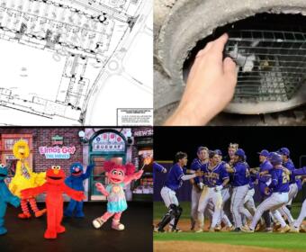 Clockwise from top left, Autumnwood Farms retail, trapped kitten, All-Area Team, Sesame Street Live.