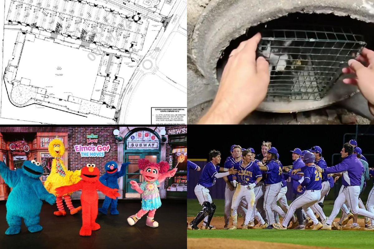 Clockwise from top left, Autumnwood Farms retail, trapped kitten, All-Area Team, Sesame Street Live.